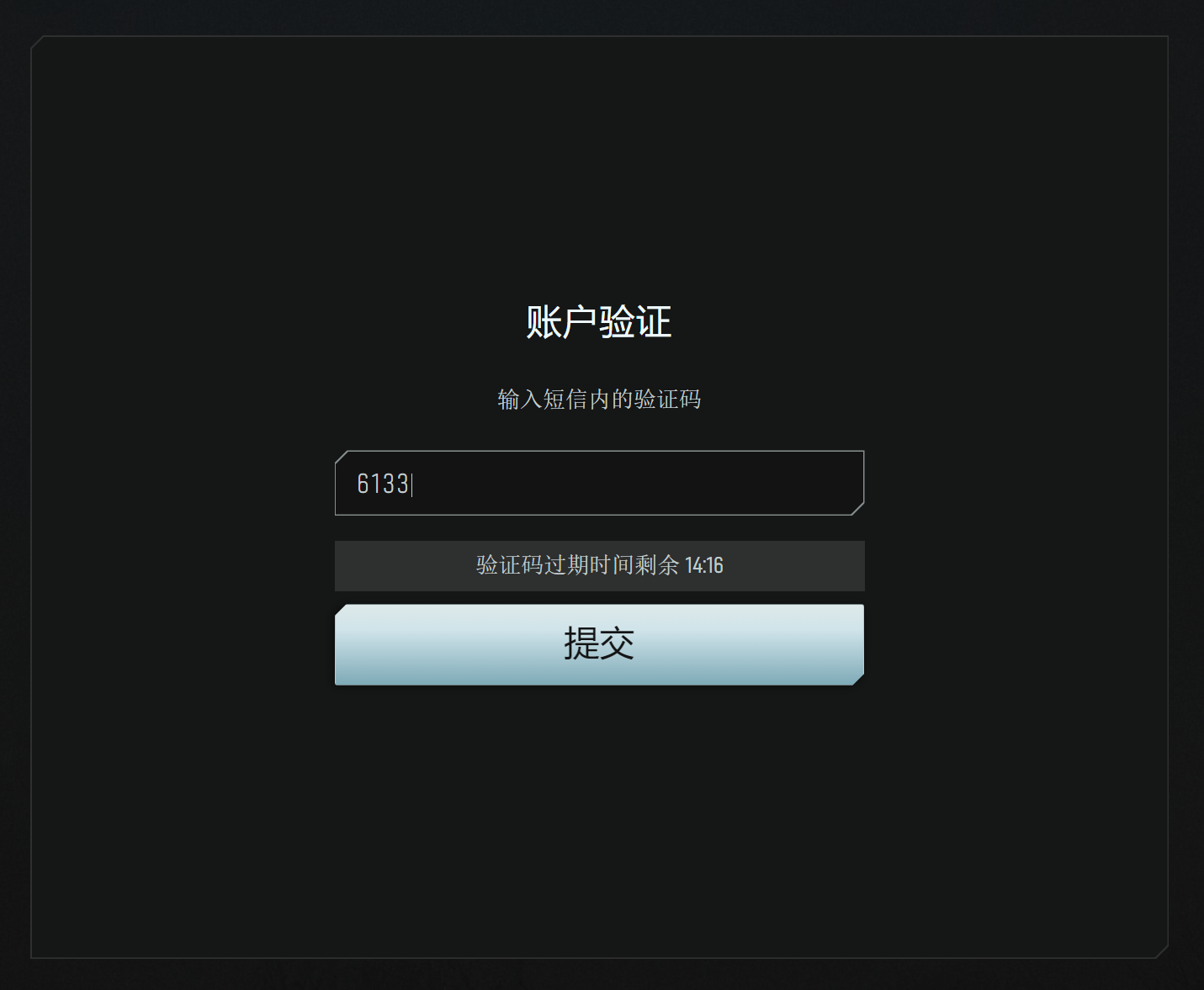 步骤9 - 输入验证码